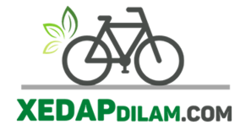 Blog xe đạp đi làm
