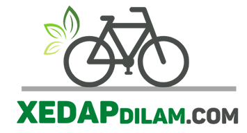 Blog xe đạp đi làm