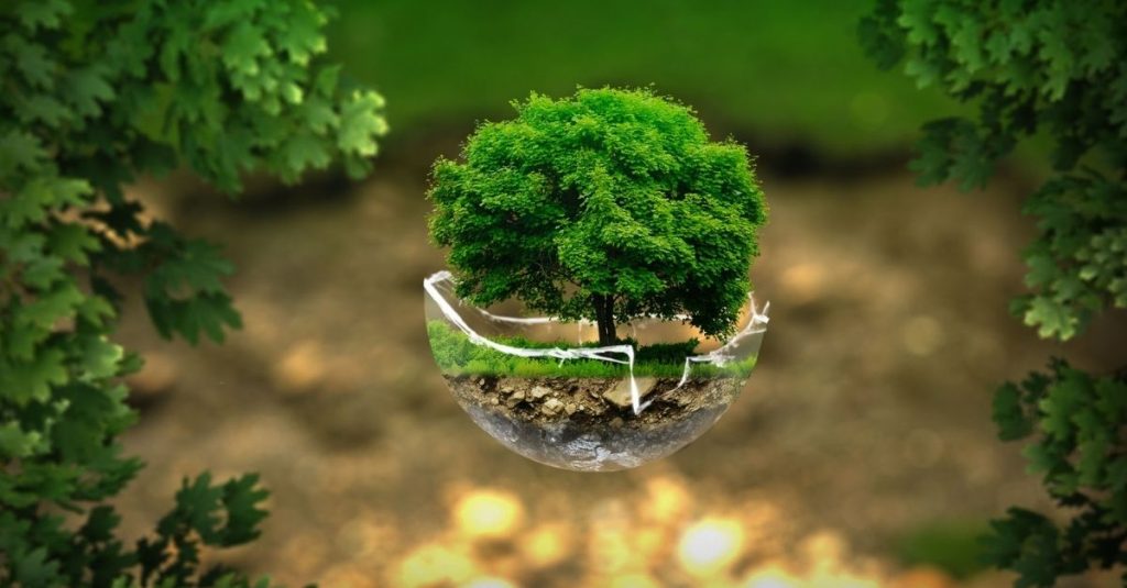 Đạp xe đi làm để bảo vệ môi trường